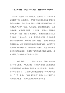 二十大宣讲稿