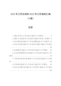 9篇20XX年工作总结和20XX年工作谋划汇编