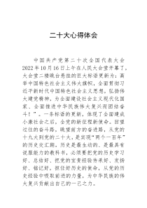 二十大开幕观后感