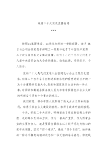 二十大现场直播观后感