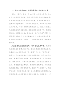 二十届三中全会感悟坚持问题导向全面深化改革