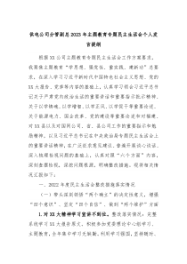 供电公司分管副总20XX年主题教育专题民主生活会个人发言提纲