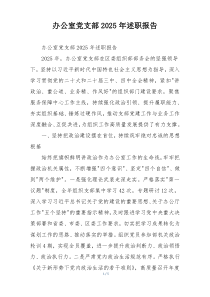 办公室党支部2025年述职报告