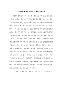 XX20XX年精神文明和文化建设工作要点