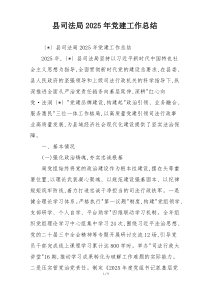县司法局2025年党建工作总结