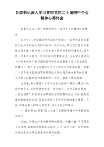 县委书记深入学习贯彻党的二十届四中全会精神心得体会