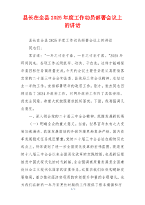 县长在全县2025年度工作动员部署会议上的讲话