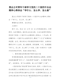 国企公司青年干部学习党的二十届四中全会精神心得体会“学什么、怎么学、怎么做”