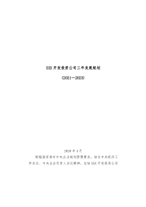 XXX开发投资公司三年发展规划20XX20XX