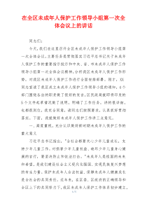 在全区未成年人保护工作领导小组第一次全体会议上的讲话