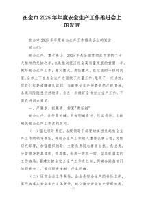 在全市2025年年度安全生产工作推进会上的发言