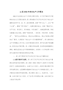 xx县20XX年安全生产工作要点