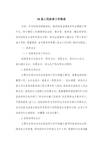 XX县人民政府工作规范