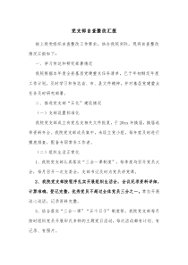 党支部自查整改汇报