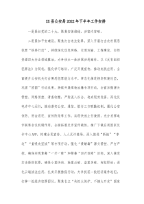 XX县公安局20XX年下半年工作安排
