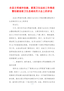 在县文明城市创建、爱国卫生运动工作推进暨创建省级卫生县城动员大会上的讲话