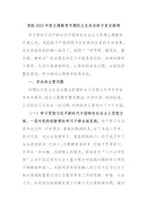 党组20XX年度主题教育专题民主生活会班子发言提纲