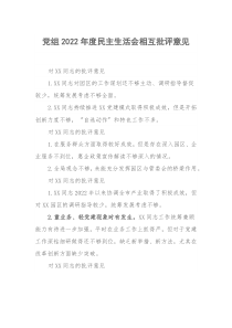 党组20XX年度民主生活会相互批评意见