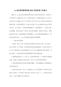 xx县自然资源局党组20XX年度纪检工作要点