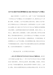 XX市XX经济开发区管理委员会20XX年安全生产工作要点