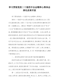 学习贯彻党的二十届四中全会精神心得体会深化改革开放