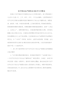 XX市安全生产委员会20XX年工作要点