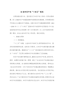 XX省知识产权十四五规划