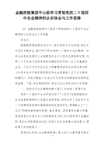金融控股集团中心组学习贯彻党的二十届四中全会精神的认识体会与工作思路