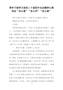 青年干部学习党的二十届四中全会精神心得体会“怎么看”“怎么学”“怎么做”