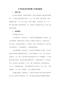 公司项目党支部党建工作典型案例