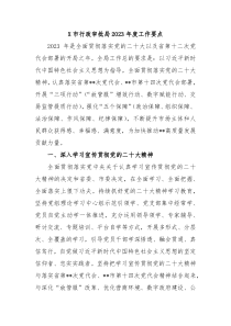 X市行政审批局20XX年度工作要点