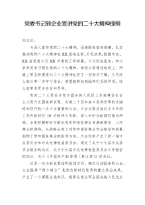党委书记到企业宣讲党的二十大精神提纲