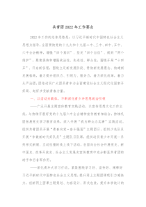 共青团20XX年工作要点