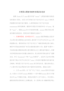 共青团主题宣传教育实践活动总结