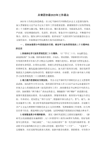 共青团市委20XX年工作要点