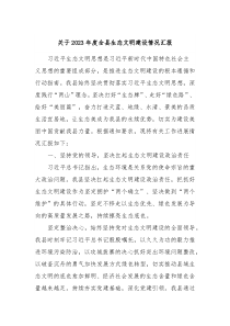 关于20XX年度全县生态文明建设情况汇报