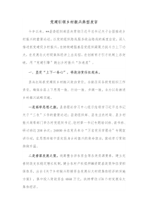 党建引领乡村振兴典型发言