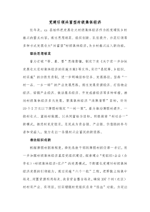 党建引领共富型村级集体经济