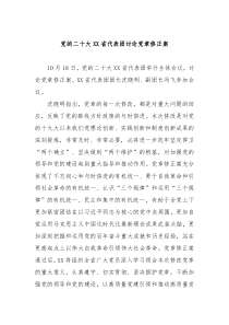 党的二十大XX省代表团讨论党章修正案