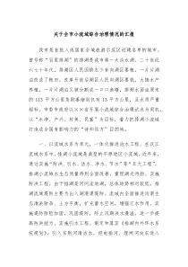 关于全市小流域综合治理情况的汇报