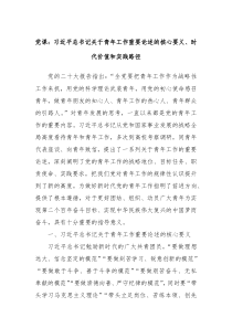 党课习总书记关于青年工作重要论述的核心要义时代价值和实践路径