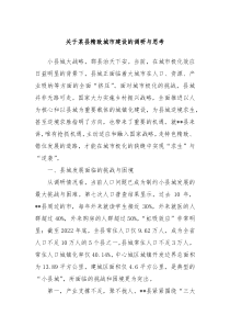 关于某县精致城市建设的调研与思考