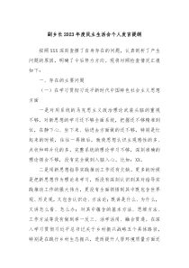 副乡长20XX年度民主生活会个人发言提纲