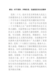 感言时不我待冲锋在前迅速落实好会议精神