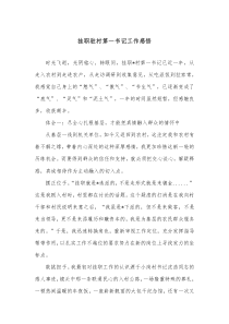 挂职驻村第一书记工作感悟