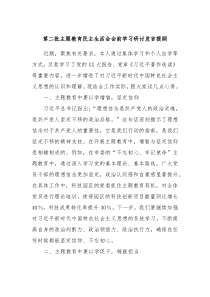 第二批主题教育民主生活会会前学习研讨发言提纲10