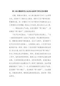 第二批主题教育民主生活会会前学习研讨发言提纲11