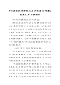 第二批班子成员主题教育民主生活会对照检查上年度整改落实情况新6个对照方面