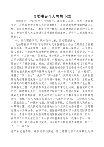 (参考)2025年个人思想小结（县委书记）