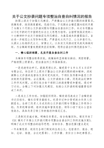 (参考)2025年公文抄袭问题专项整治自查自纠情况报告（乡镇）